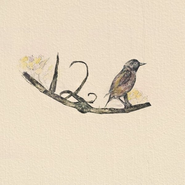 Twelve Birds #abstract #watercolor #sketch