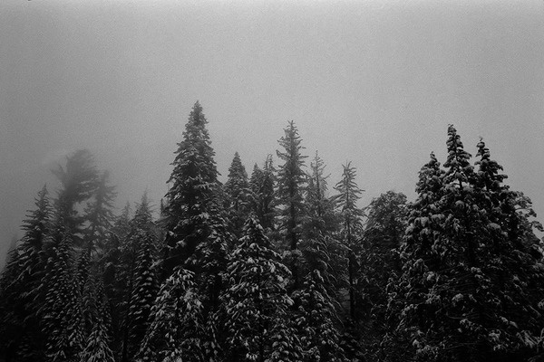 California Wes Sumner