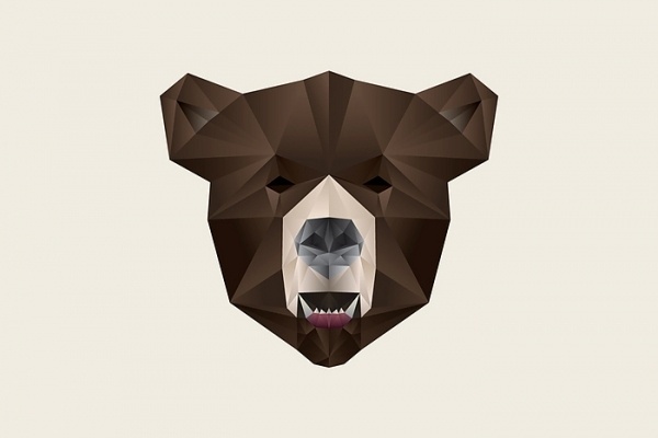 007-700x500-700.jpg (700×467) #bear #illustration #hexagon