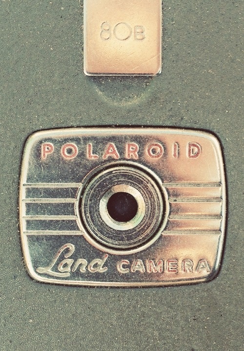 Type Hunting #logo #polaroid