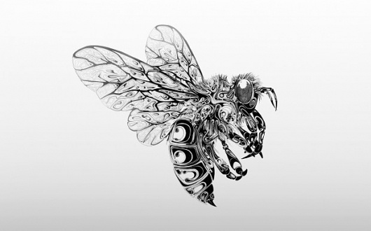 Tundra Blog | The blog of Studio Tundra. Creative inspiration mixed with the everyday. #illustration