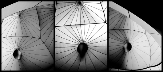 RANDOM #photo #foto