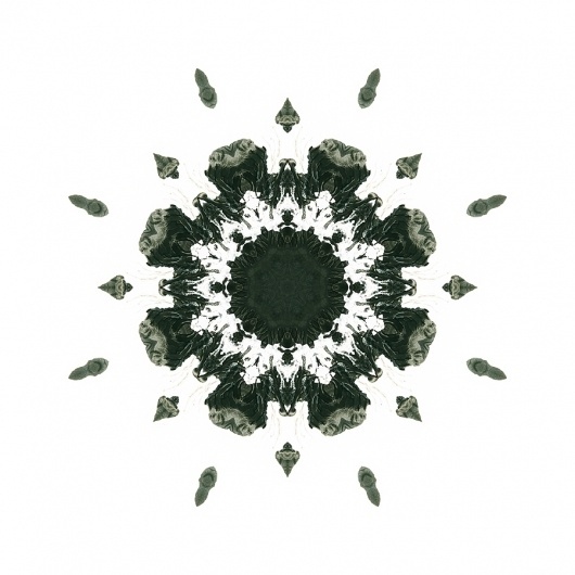 Rorschach Mandalas « Variations on a Theme #illustration #rorschach