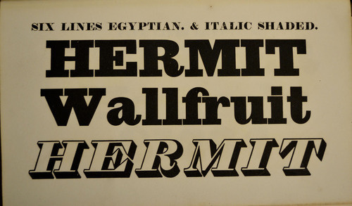 This is a page from the 1836 Bower #type #specimen #typography