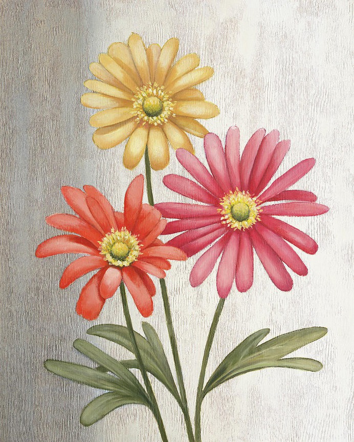 daisy painting & daisy paint by number #painting