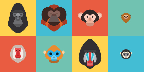 primates family.jpg #illustration #primates