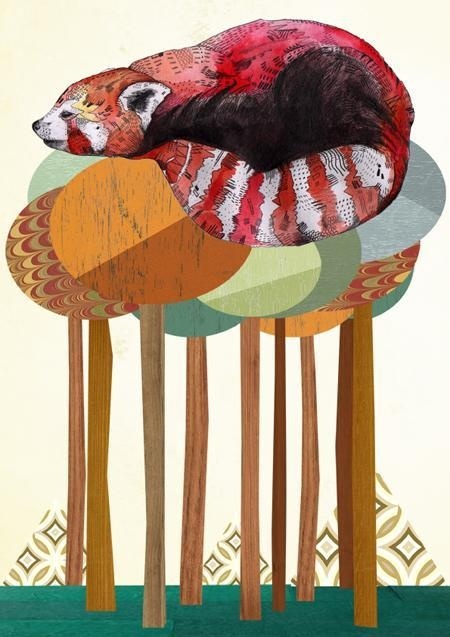 Sandra Dieckmann