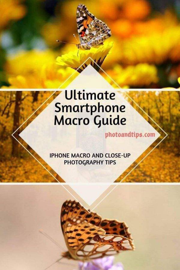 If you are interested to learn the best tips and tactics to deal with the Macro and Close-Up shots, this eBook can guide you better. @photoandtips #photoandtips #smartphonecloseup #iphonemacro #smartphonemacro #smartphonetips #iphonetips #mobiletips #smartphonephotography #iphonephotography #smartphonecamera #smartphonephotographytips #iphonephotographytips #smartphonephoto #iphonephoto #photographytips #photography