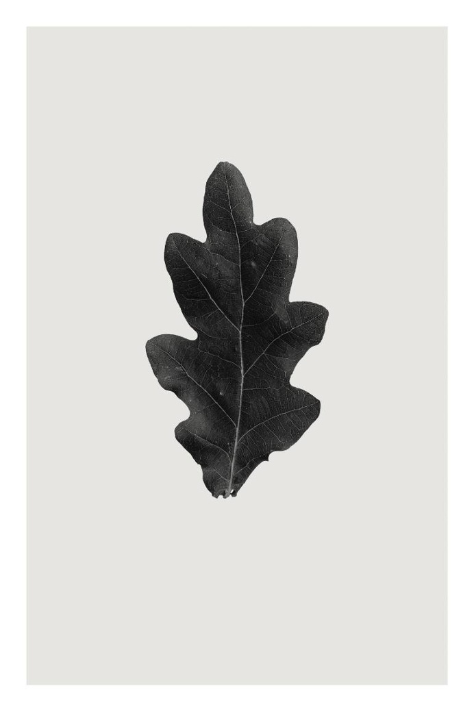 Saatchi Art Artist Anders Bundgaard; Photography, "Oak" #art