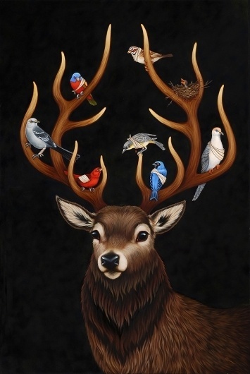 Opening: Flight and Fable - My Modern Metropolis #deer #fantasy #birds #illustration #fable