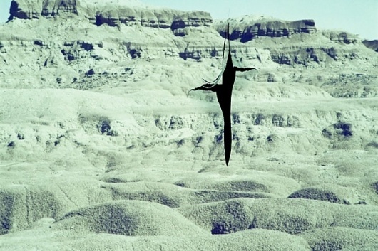 How often I found where I should be going only by setting out for... - but does it float #photography #collage