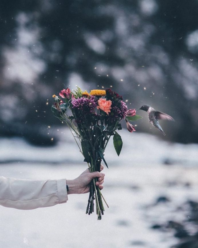 Whimsical and Enchanting Fairy Tale Photography by Alexandria