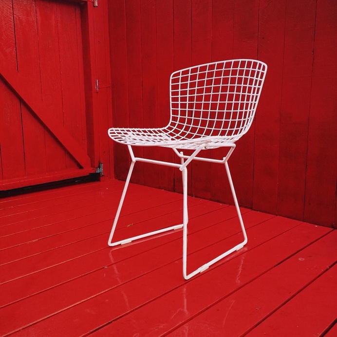 Harry Bertoia side chairs in our backyard.