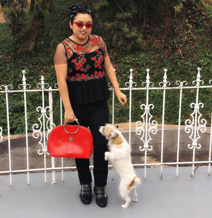 Most Dog Friendly Stores in America - BeBe