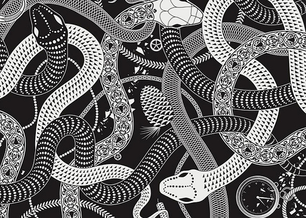Dan Funderburgh #snakes
