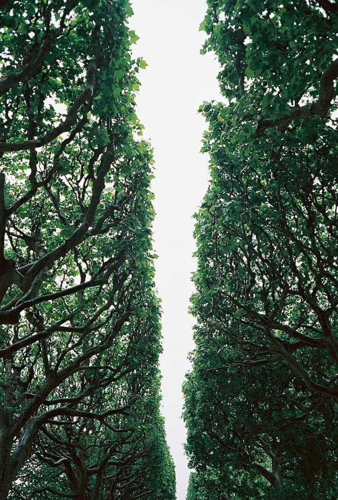 Photography by Jaka Bulc #inspiration #photography #art