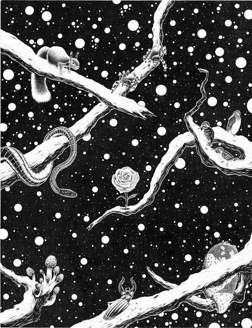 About: #white #black #poster #and #forest #drawing
