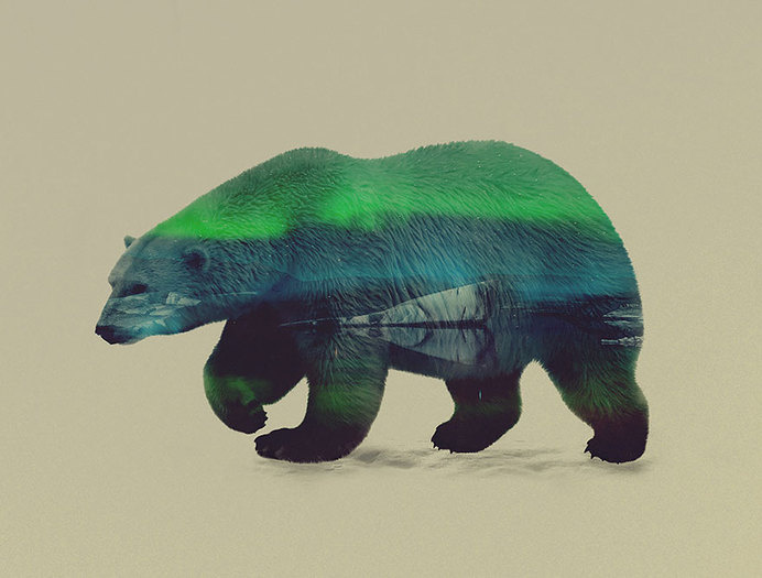 Double-Exposure Animal Portraits By Norwegian Photographer
