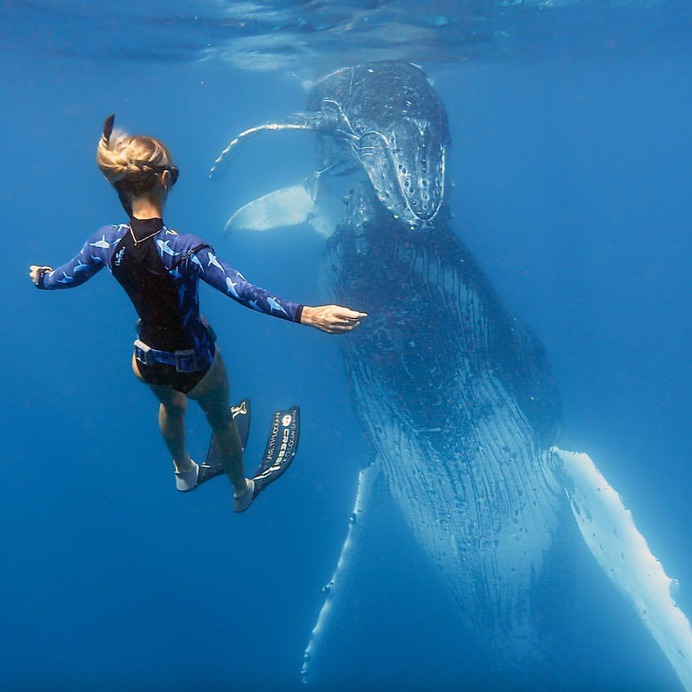 Incredible Underwater Photography by Juan Oliphant