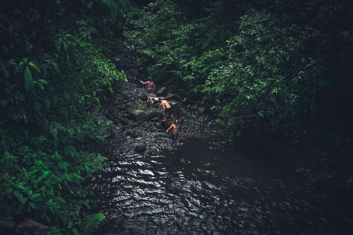 A group of shirtless male friends climbing some river rocks and into a forest of trees