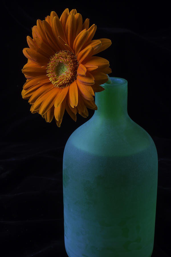 daisy painting & daisy paint by number #painting