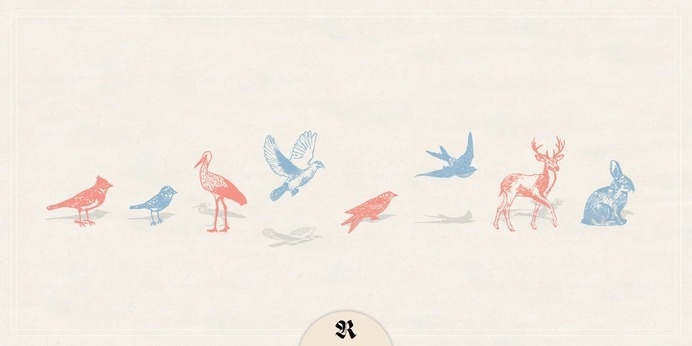 Natura - Webfont & Desktop font « MyFonts #calligraphy #script #writing #nature #handwritten #type