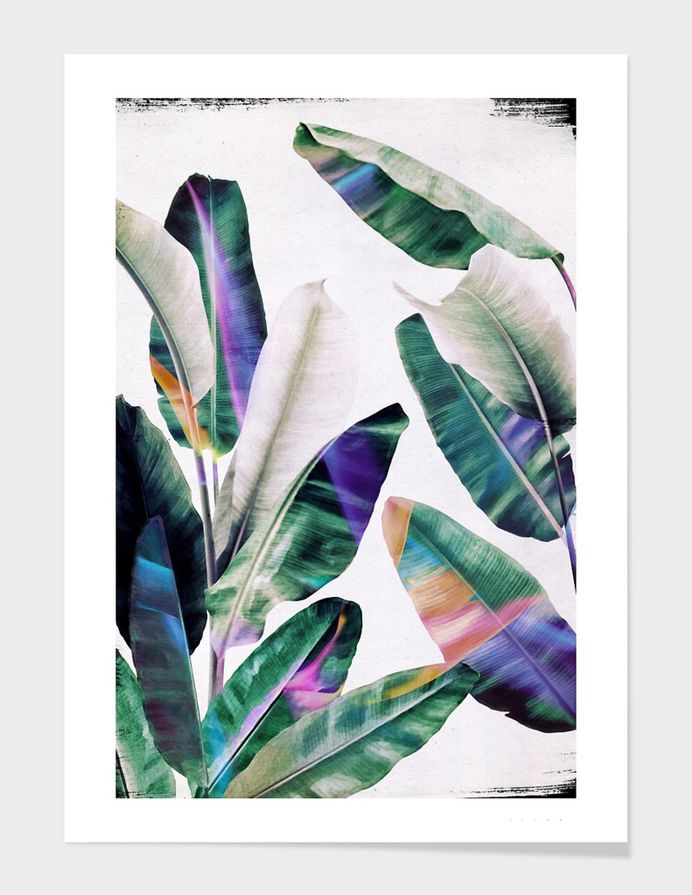tropical #1