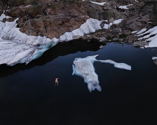 All sizes | Primates | Flickr - Photo Sharing! #north #photography #art #ice #fine