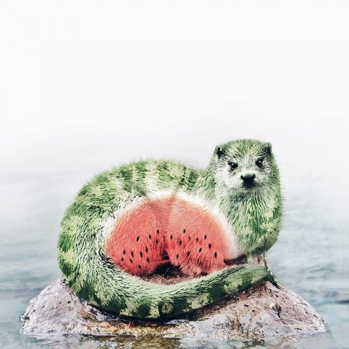 Surreal and Dreamlike Photography Manipulations by Luisa Azevedo
