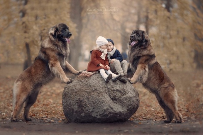 Little Kids And Their Big Dogs by Andy Seliverstoff