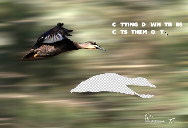 Proposed Campaign for Ducks Unlimited http://cargocollective.com/daxjustin/Ducks-Unlimited #wetlands #campaign #wildlife #design #advertising #nonprofit