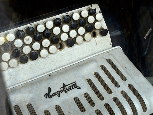 Hagström accordion #logo #lettering #vintage
