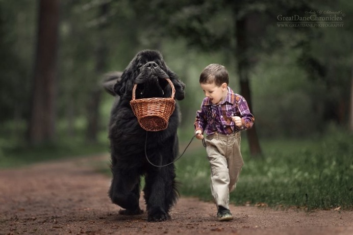 Little Kids And Their Big Dogs by Andy Seliverstoff