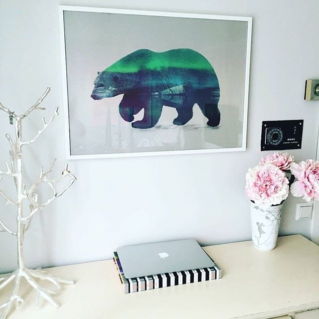 composite, collage, polar bear, desk, office space