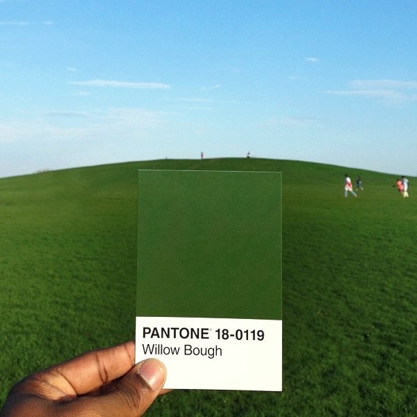 CJWHO ™ (The Pantone Project by Paul Octavious Paul...) #creative #design #octavuious #colors #pantone #art #paul
