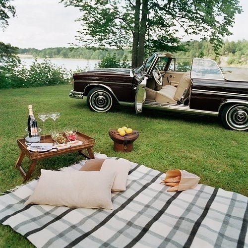 The Pursuit Aesthetic #fun #photography #freetime #picnic