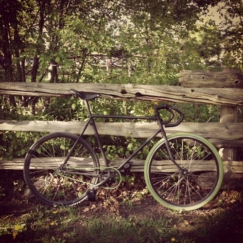 ghent.photos #fixed #gear #bike #forest #green