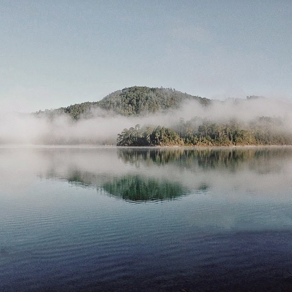 Instagram of Nicole Hunziker #inspration #photography #art