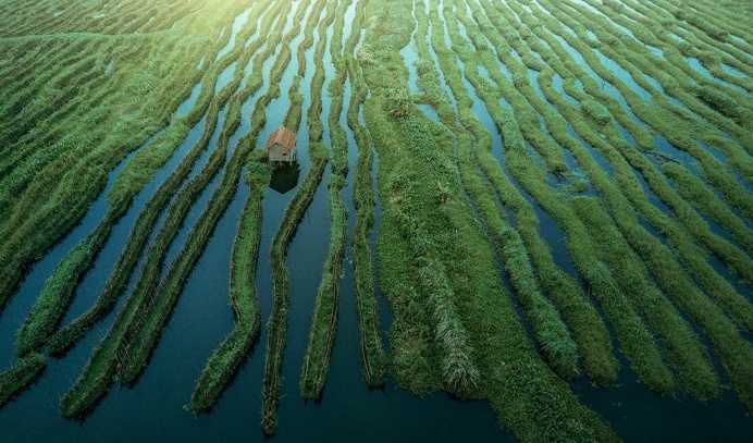 Inle Lake, Myanmar From Above by Dimitar Karanikolov