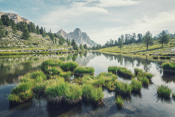 alp impressions VI #nature #mountains