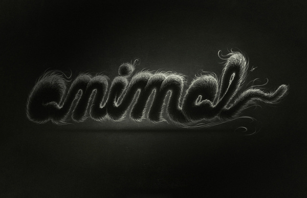 Animal by Dr. Lukas Brezak #india #cat #black #fur #delhi #species #type #animal