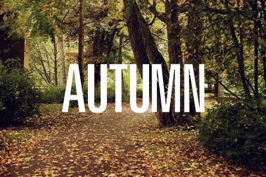 Jakob Nylund / #nylund #photography #autumn #jakob