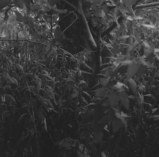sentamemory #photography #design