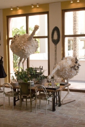 Anthropologie — ruthi auda #auda #ruthi