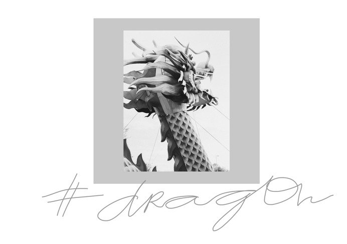 #dragon PHOTOGRAPHIE © [ catrin mackowski ]