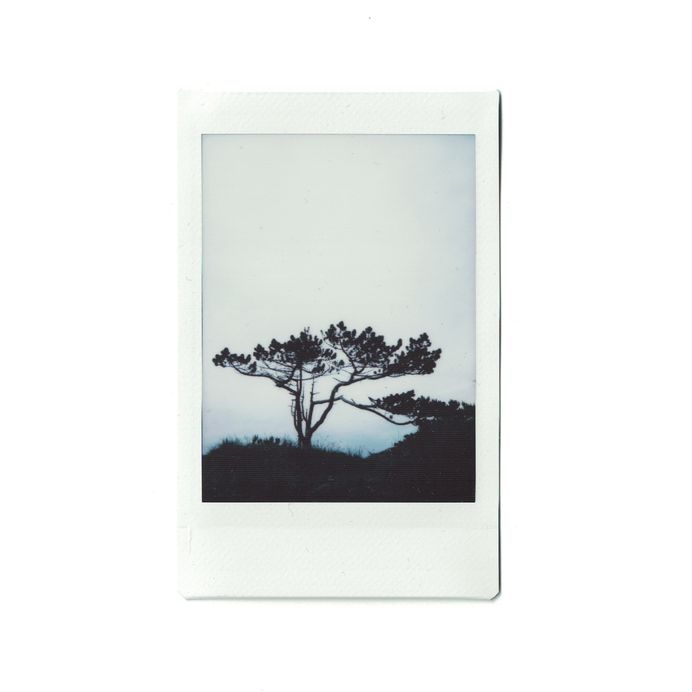 #polaroid_netherlands PHOTOGRAPHIE © [ catrin mackowski ]