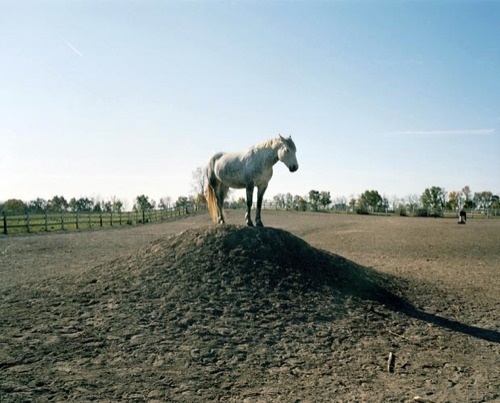 Sean M. Schmidt « PICDIT #photo #photography