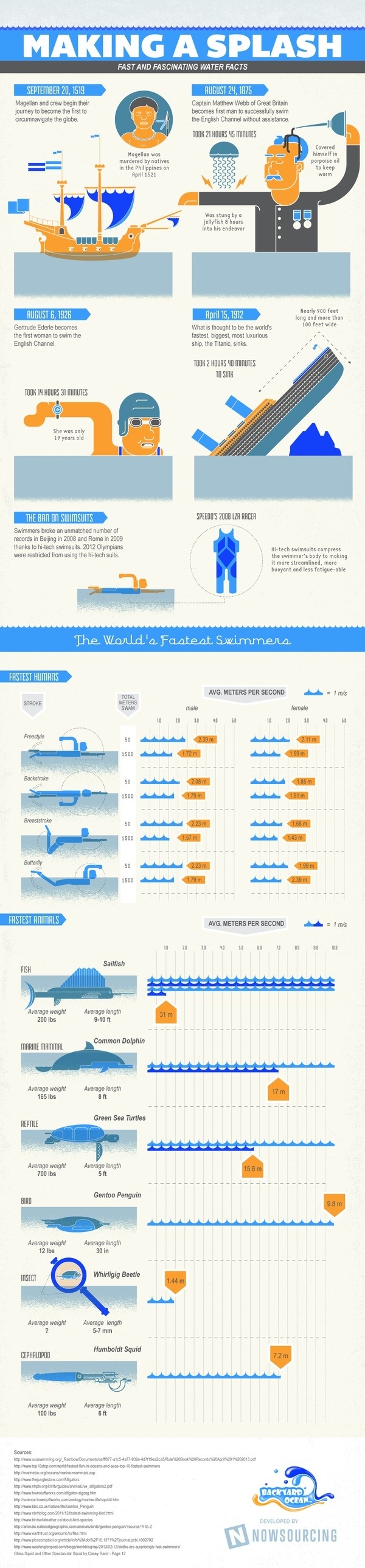 Making a Splash: Fast and Fascinating Water Facts #water #pool #animals #swimming #fast