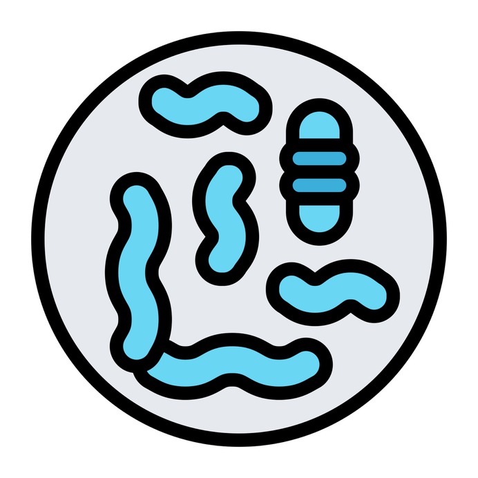 See more icon inspiration related to bacteria, healthcare and medical, petri dish, Microorganism, laboratory equipment, sample, cell, biology and science on Flaticon.