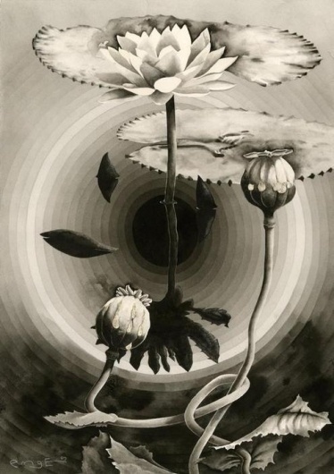 Chimes&Rhymes | innovative design and new techniques in visual artistry #drawing #botanic